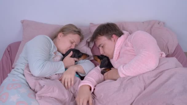 Un jeune homme et une jeune femme en pyjama se préparent au repos, se couchent, prennent des chiens dans leurs bras et les embrassent avant de dormir. Chiot de teckel actif ludique ne se calme pas et violons — Video