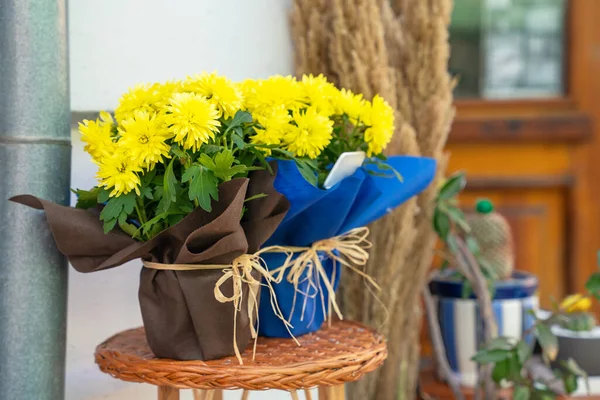 Two pots of yellow chrysanthemums decorated with stylish wrapping paper and bows of twine stand outside on wicker coffee table in front of house, cafe or flower shop