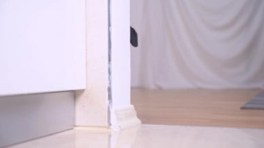 İki nesildir tatil kıyafetleri içinde sevimli dachshund köpekleri tuhaf bir şekilde köşeden bakıyorlar ve aynı anda durumu kontrol etmek için odaya giriyorlar..