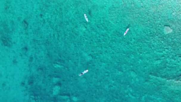 Ludzie pływać, chill i opalać się na deskach SUP w czystym turkusowym morzu podczas wakacji lub wakacji, widok z góry. Strzelanie z wysokości z dronem schodzącym w dół i zbliżającym się do powierzchni wody — Wideo stockowe