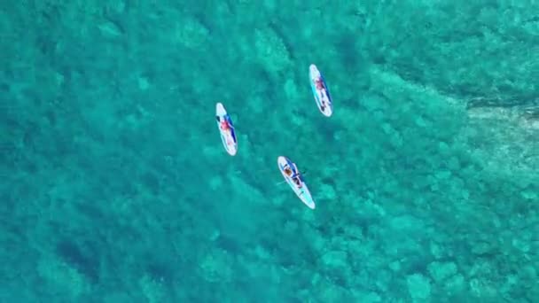 Tre amici felici nuotano, si rilassano e prendono il sole sulle tavole SUP in mare turchese chiaro mentre sono in vacanza o in vacanza, vista dall'alto. Sparatoria con drone che sale sopra la superficie dell'acqua — Video Stock