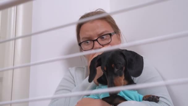 Scared woman looks at dryer rack holding dachshund puppy — Stock Video