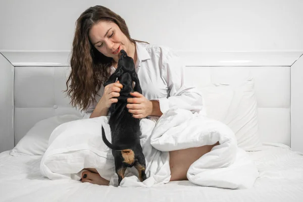 Χαριτωμένη χαμογελαστή γυναίκα αγκαλιάζει το σκύλο της dachshund κουτάβι στο κάλυμμα του κρεβατιού με μια κουβέρτα νωρίς το πρωί. Φιλίας και αγάπης με τα κατοικίδια ζώα — Φωτογραφία Αρχείου