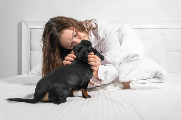 幸せな女性抱擁dachshund子犬座っている大規模なベッド — ストック写真
