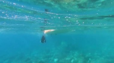 Gök mavisi deniz suyunda çakıl taşlarının üstünde yüzen SUP tahtasının dibi.