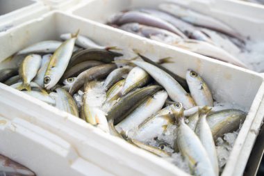 Piyasada taze çiğ balık ve buz var.