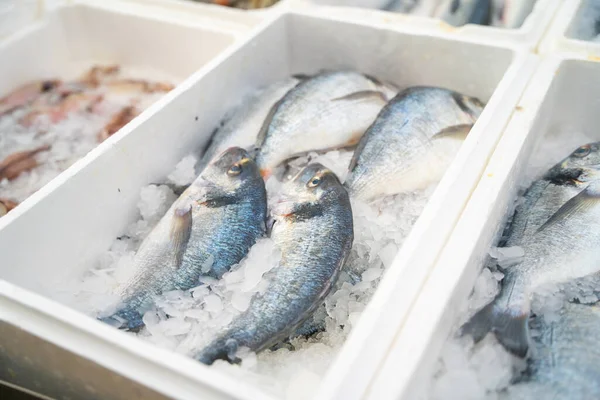 Fresh fish on ice in a box at village market for sale