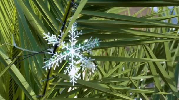 Vit dekorativ snöflinga hänger på palmblad på resort — Stockvideo