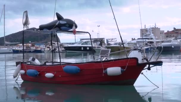 Red perahu motor dengan karet pembunuh paus di atap di pelabuhan — Stok Video