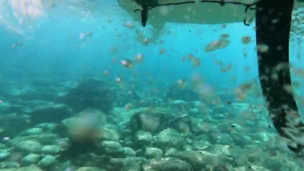 Vista subacquea di SUP-bordo contemporaneo che naviga lentamente in acqua di mare azzurra tranquilla sopra il fondo roccioso al resort primo piano. — Video Stock