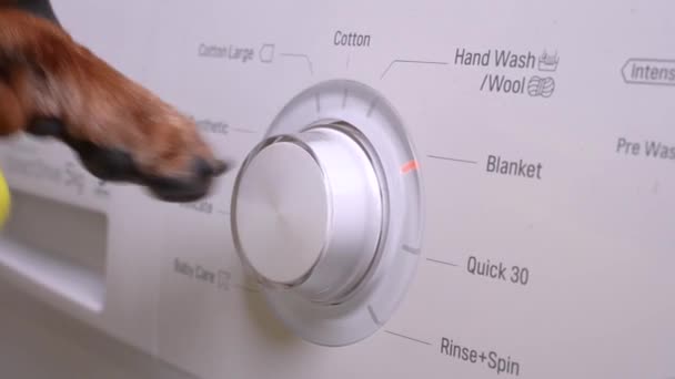 Ovládací panel s popisem bílé pračky, zavřít. Pes tlapa vybere správný režim mytí otáčením knoflíkem. Denní práce domácnosti — Stock video