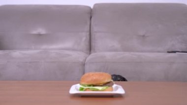 Dachshund köpekleri masaya lezzetli hamburgerlerle gelirler.