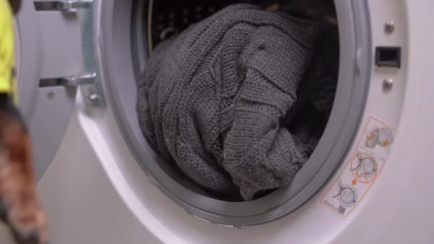 Дахшундський собака штовхає брудний одяг в пральну машину — стокове відео