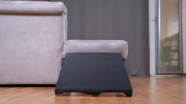 İki aktif dachshund kanepe üzerinde özel rampada koşuyor. Güvenli evcil hayvanlar koltuklara ve koltuklara tırmanıyor. Küçük cinsler, yaşlı köpekler ya da hayvanların hareket sorunu olanlar için ekipman