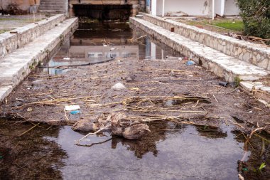 Çöpler ve eski kurumuş dallar yüzünden doğal olarak oluşan atık atık su arıtma tesisi ile dolu havzada bir baraj. Belediye kanalizasyon sistemi