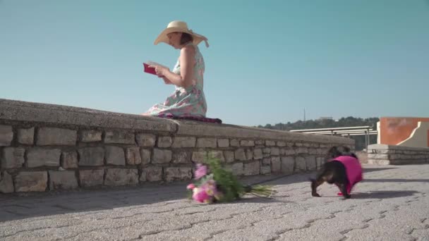 Dachshund puppy collected bouquet of flowers, tied it with rope to himself and drags it along ground to congratulate his loved ones. Attractive woman in hat is reading book sitting on concrete parapet — Stock Video