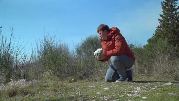 Junger Mann pflückt weiße Stellaria-Blumen auf grüner Wiese — Stockvideo