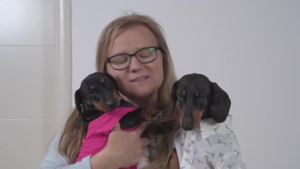 Mujer bonita abrazos y besos adorables perros dachshund — Vídeo de stock