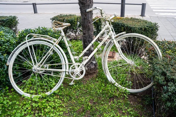 Vintage old white bicycle is parked on the lawn with green grass as art object, leaning on exotic palm tree and surrounded by little bushes