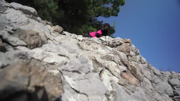 険しい崖の上には強いダックスフントのアルピニストが立っています — ストック動画