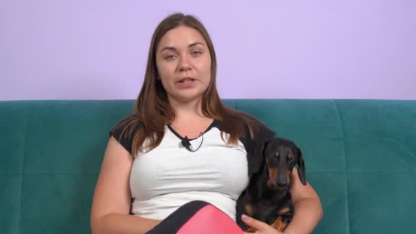 Νεαρή blogger κάθεται στον καναπέ αγκαλιάζοντας χαριτωμένο dachshund σκυλί και streaming ζωντανά για το vlog της. Εκπαιδευτικό ή ψυχαγωγικό περιεχόμενο. Ελεύθερος επαγγελματίας και εργασία στο σπίτι — Αρχείο Βίντεο