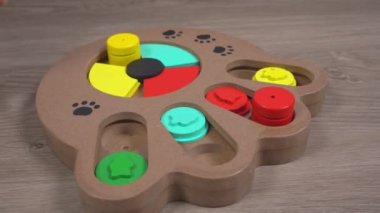 Sahibi köpek yavrusunu eğitmek için zihin okuyucuya saklar.