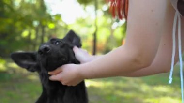 Kadın, bahar parkında dost canlısı siyah çoban köpeğiyle oynuyor.