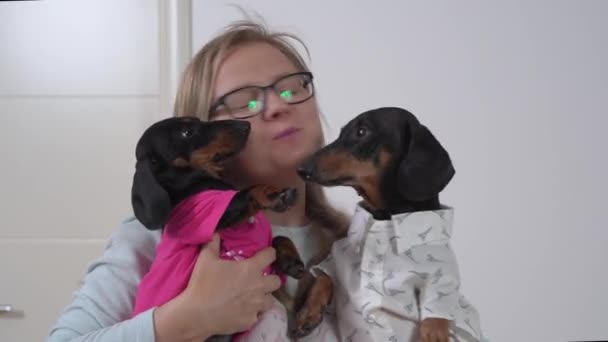 Blonde woman with glasses holds two cute dachshunds in her hands and kisses them, dogs reciprocate. Hyper-care and love for animals. Meeting with pets after long separation — Stock Video