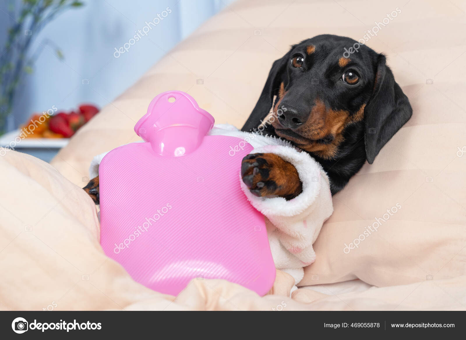 Coperta di peluche Bassotto cucciolo di cane 