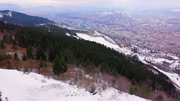 Nagy tűlevelű erdő havas dombos lejtőn a felhős ég alatt — Stock videók