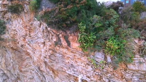 相机沿着陡峭的层状悬崖缓慢移动，树木生长在垂直的斜坡上，无人驾驶飞机拍摄。教育或娱乐旅行博客的奇异野生美景 — 图库视频影像