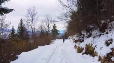 İnsanlar dağlık arazide ağaçlarla çevrili karlı yolda yürüyor.