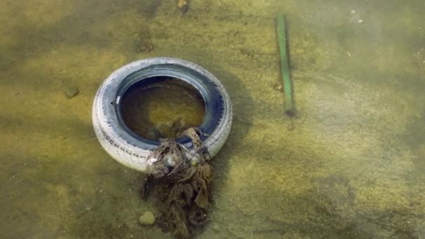17 мая, Будва, Черногория: Старая ненужная шина Montero для автомобиля и другой мусор лежат на песчаном дне пруда в чистой мелководье. Проблемы экологического загрязнения природы — стоковое видео