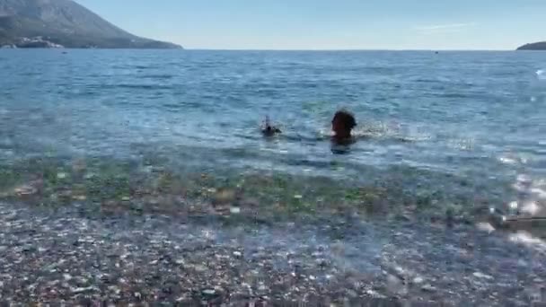 フリッパーの若い男は海岸に泳ぎ、面白いダックスフントの子犬と一緒に周りの愚か者。犬は海から出て行く。休暇中にペットと一緒に旅行する。野外活動 — ストック動画