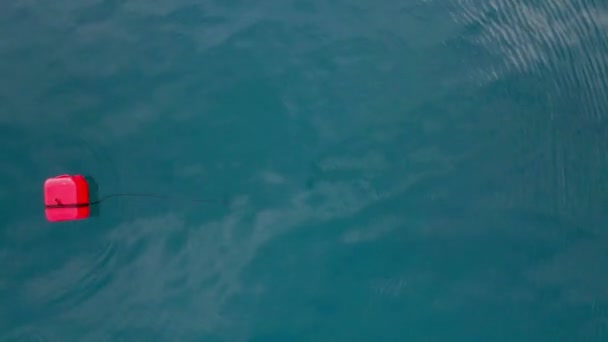 Boya roja grande fijada con cuerda larga de flotadores del fondo del mar — Vídeos de Stock