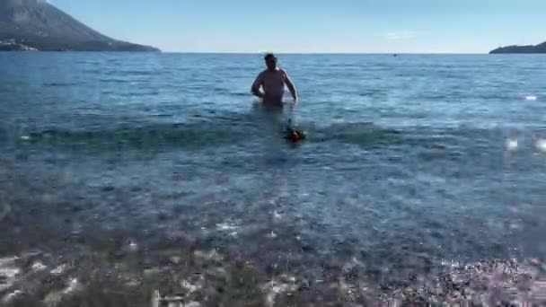 Hombre silueta juega con cachorro dachshund en agua de mar — Vídeo de stock