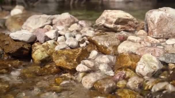 Malé sladké říční vodní toky proudí mezi mokrými kameny — Stock video