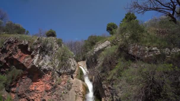 Haut d'une petite cascade avec de l'eau qui coule entre les rochers, couverte d'herbe et encore des arbres nus au début du printemps. Belle vue sur les coins reculés de la nature tout en voyageant — Video