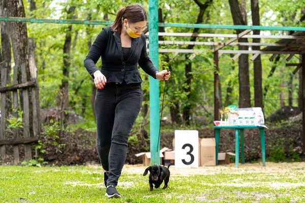 女とともにマスクランとともに子犬参加犬ショー — ストック写真