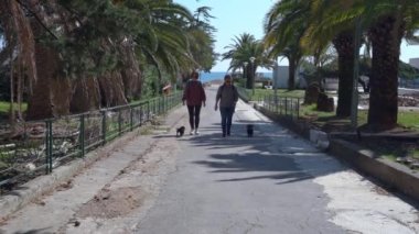 Güneş gözlüğü takan ve sırt çantaları taşıyan iki genç kadın tasmalı komik dachshund köpeklerine önderlik ediyor. Arka sokaklarda palmiye ağaçları ve arkalarında deniz var. Etkin yaşam biçimi