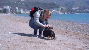 Sırt çantalı sahibi Dachshund ve sahil boyunca koşuyor.