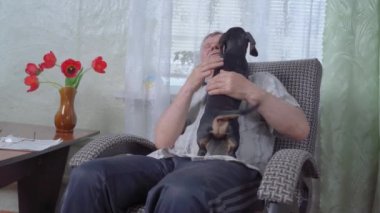 Şirin dachshund köpeği kuyruğunu sallıyor ve huzurevindeki rahat sallanan sandalyede oturan yaşlı emekli adama sarılıp yalamak için mutlu bir şekilde tırmanıyor. Evcil hayvanlar, emeklilerin yalnızlığa dayanmasına yardımcı olur.