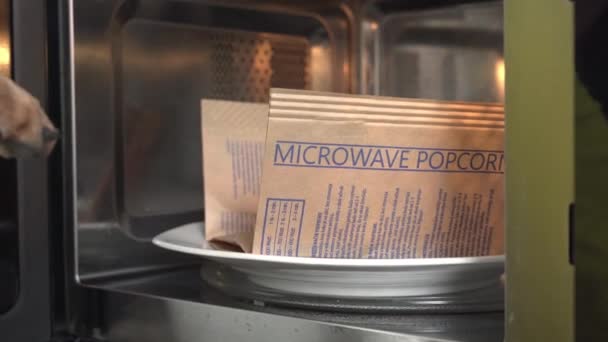 Vicces kiképzett kutya sárga pólóban tesz tányért papírzacskó kukorica mag a mikrohullámú sütőben, hogy finom popcorn esti mozi show otthon, közelről — Stock videók