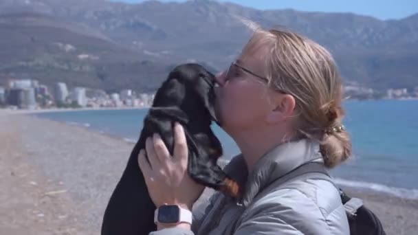 Muito jovem mulher solteira vestindo óculos e jaqueta vomita e beija cachorrinho bonito dachshund enquanto caminha na praia de areia no dia ensolarado quente — Vídeo de Stock