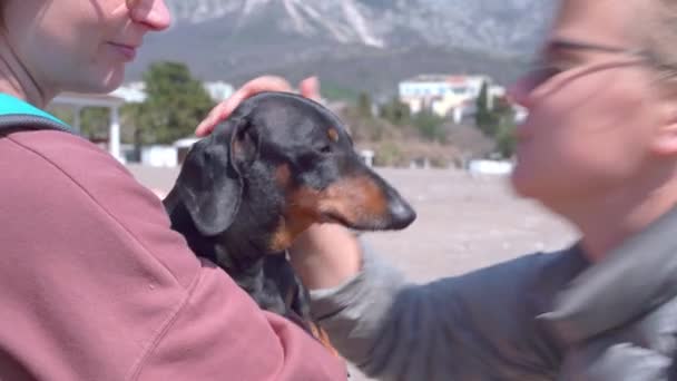 Genç bir kadın yürüyüş sırasında kucağında şirin bir köpekle arkadaşıyla tanıştı ve evcil hayvanı öpmeye başladı. Hayvanlar duygularını ifade etmek için insanın yüzünü yalar. — Stok video