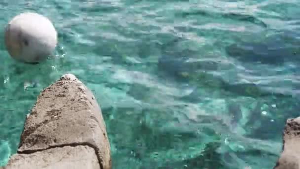 Bola blanca cayó al agua y flota con corriente de mar mientras juega voleibol en la playa, bonito día soleado. Cosas para actividades al aire libre. Deportes acuáticos en equipo — Vídeo de stock