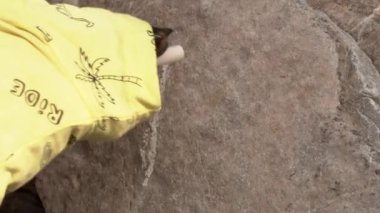Sarı tişörtlü eğitimli köpek, taştan duvara beyaz tebeşirle çizgiler çiziyor. Yaklaş. Hayvanlar, geçen günlerin sayısını belirlemek için çentik atar. Önemli bir olay bekleniyor
