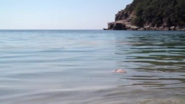 Çamurlu ve kirli suda çöpler göletin yüzeyinde yüzer. Plastik atık bolluğu. Kritik küresel atık yönetimi sorunu