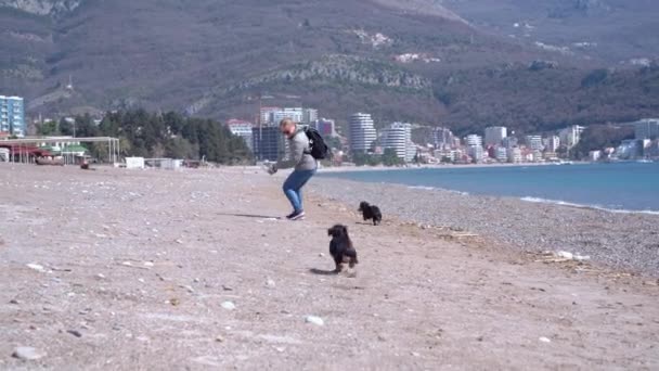 Mulher positiva com mochila E óculos de sol corre brincando com cães bonitos Dachshund na praia de areia do mar contra colinas no dia ensolarado — Vídeo de Stock