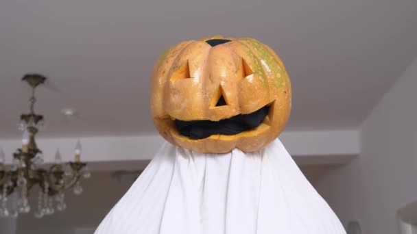 Person makes weird performance at Halloween party for friends. Actor in handmade ghost costume with pumpkin lantern with creepy face instead of head and toy in hand shakes head sympathetically — Stock Video